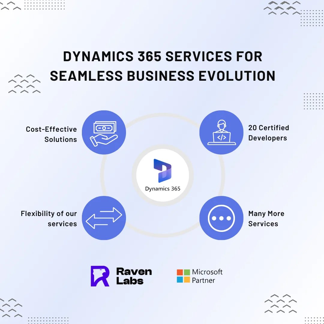 Maximize Dynamics 365 with Raven Labs Support - The Ravenlabs